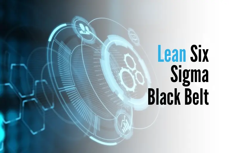 Lean six sigma black belt